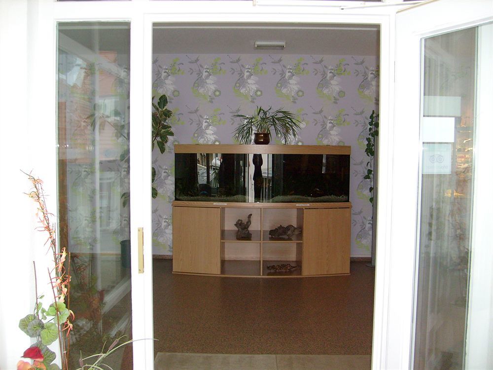 Villa Auszeit Hotel Garni Heringsdorf  Ngoại thất bức ảnh